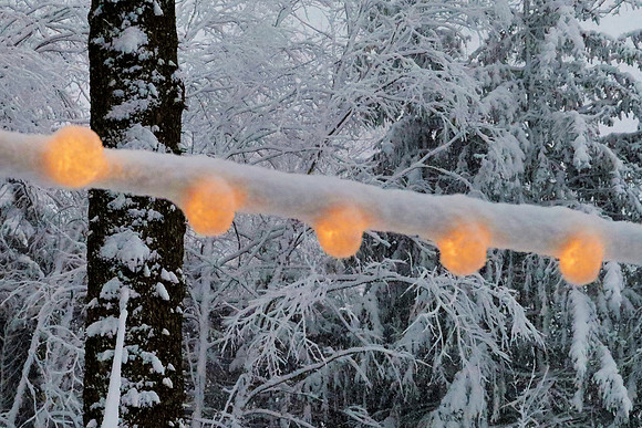 Snow Lights