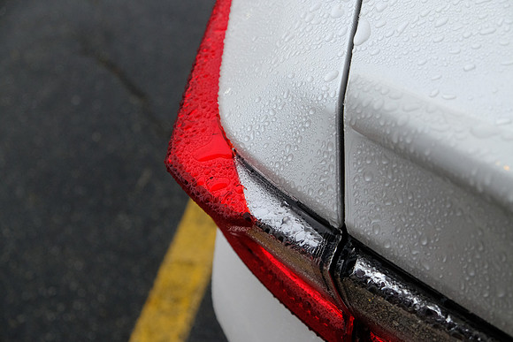 Rainy Red