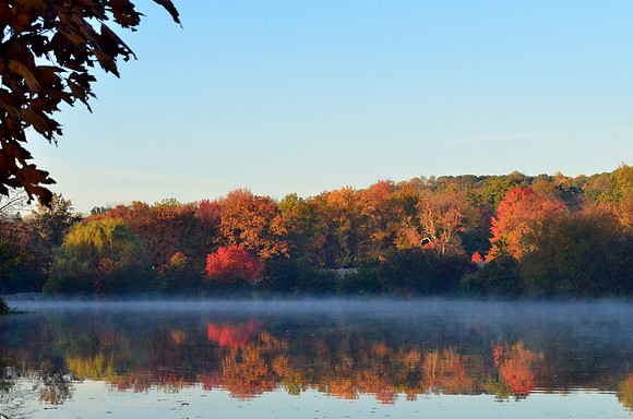 Fall Morning
