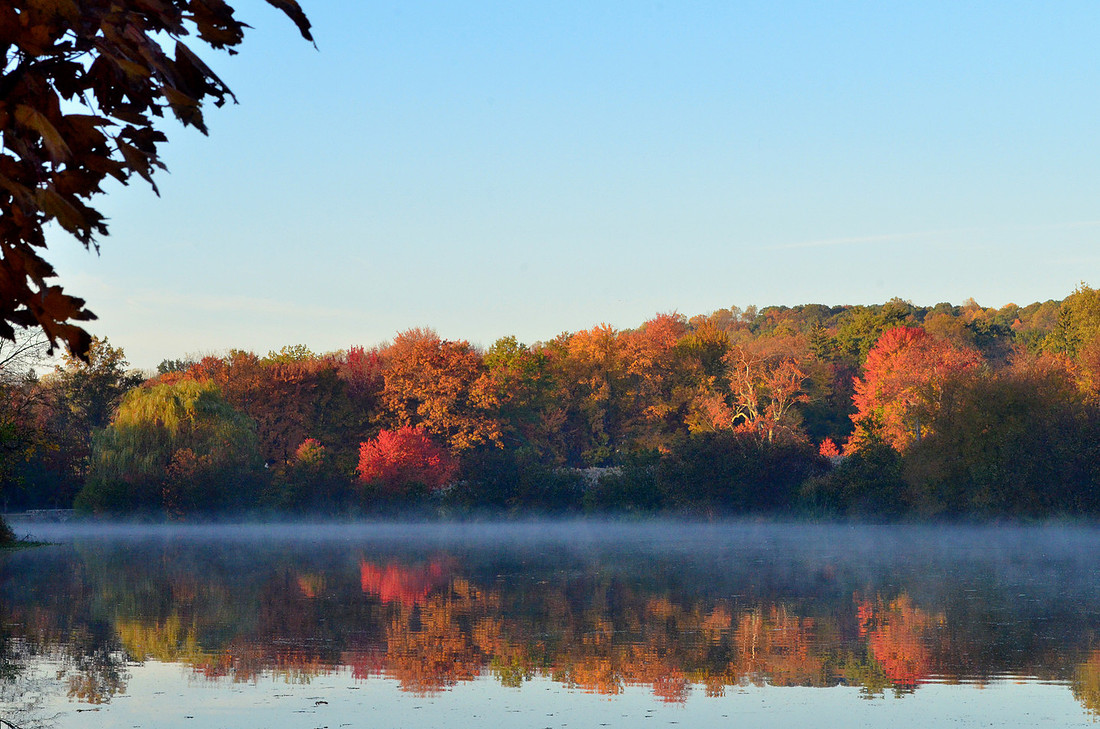 Fall Morning