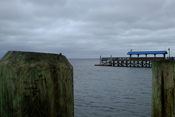 Pier and Pilings