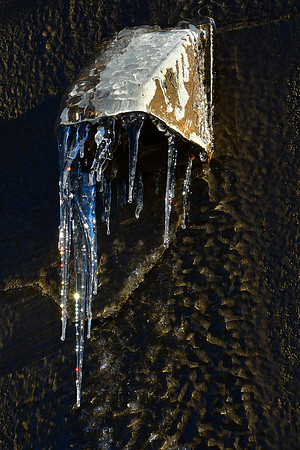 Winter Sparkle