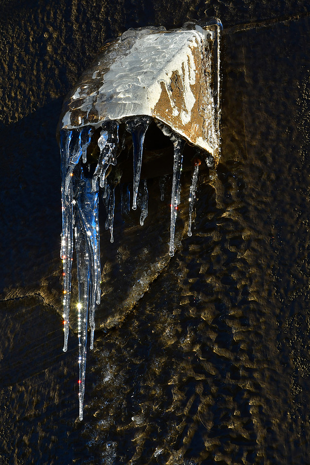 Winter Sparkle