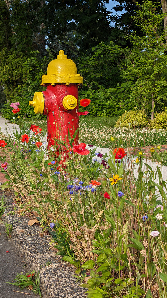 Flowered Hydrant