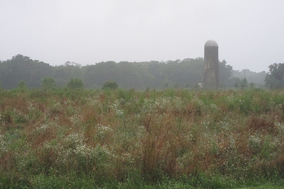 Misty Farm