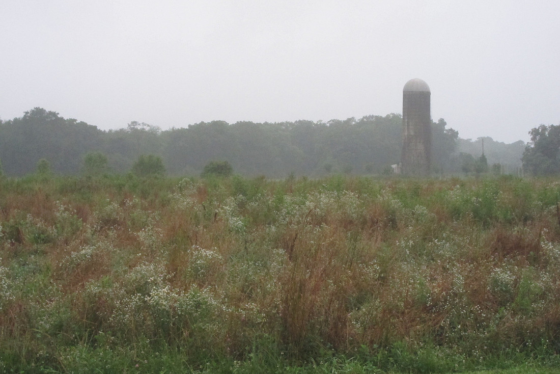 Misty Farm