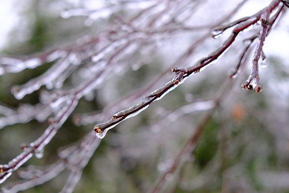 Wait for Spring