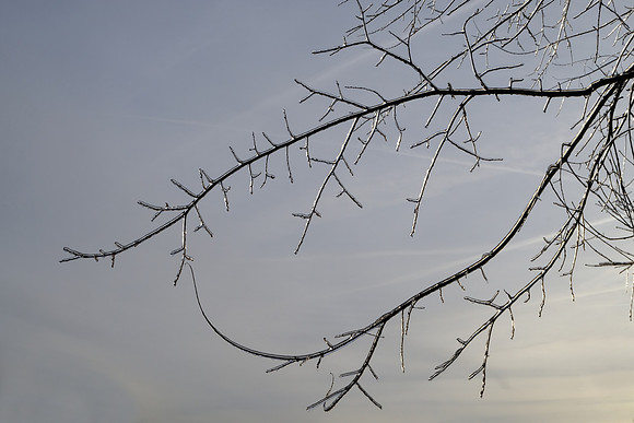 Still Frozen