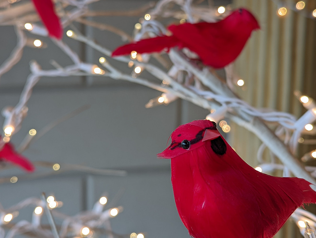 Red Birds