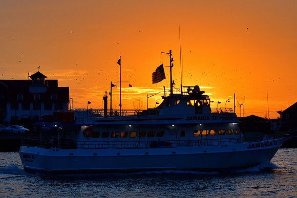 Sunset Cruise
