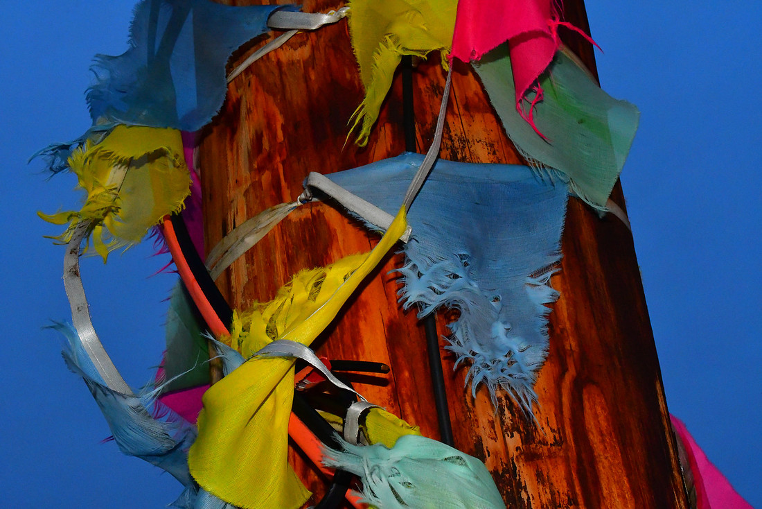 Shredded Pennants