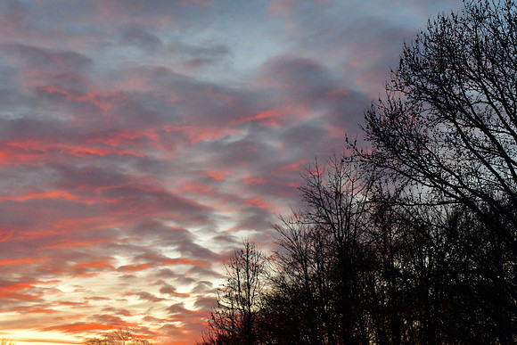 Winter Sunset