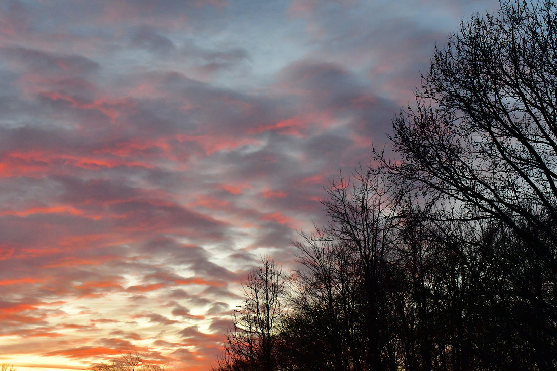 Winter Sunset