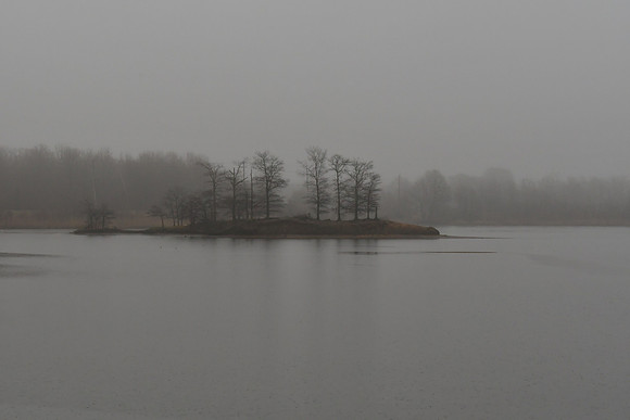 Misty Lake