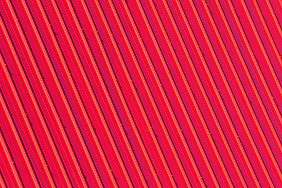 Red Ribs
