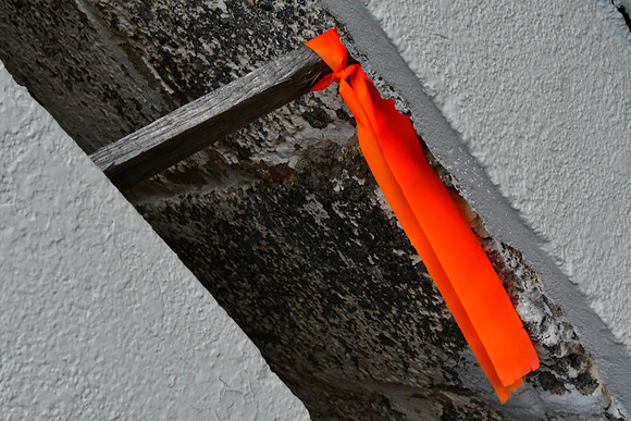 Splash of Orange