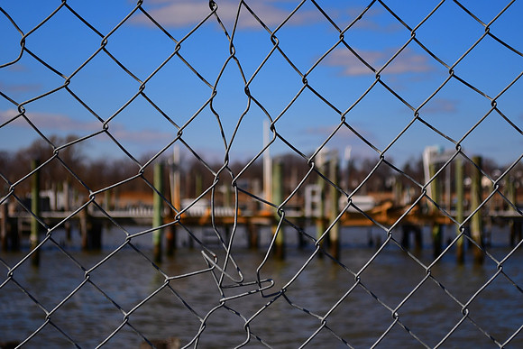 Behind the Fence