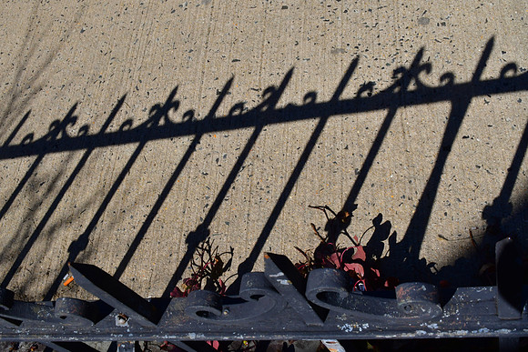 Shadow Fence
