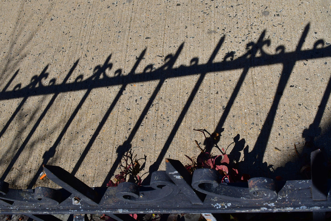 Shadow Fence