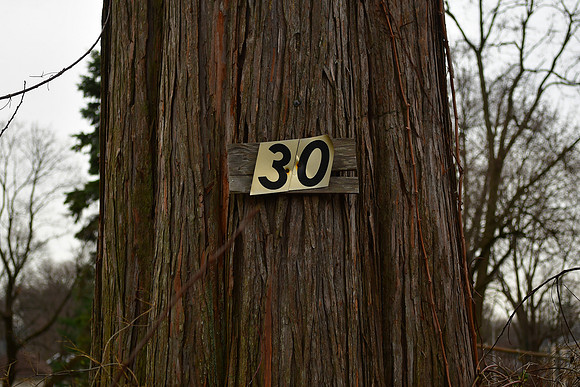 30
