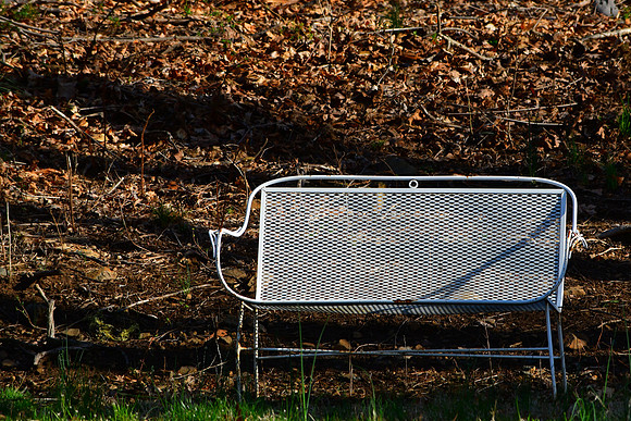 Sunny Seat