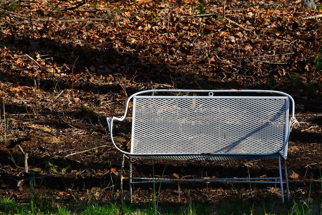 Sunny Seat