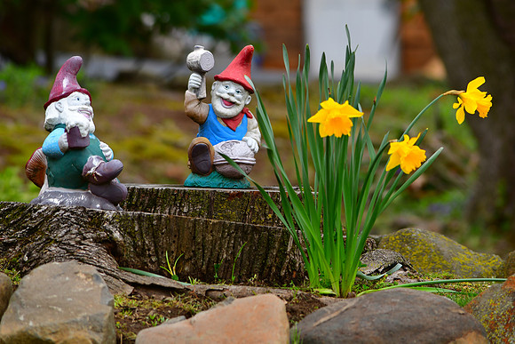 Happy Gnomes