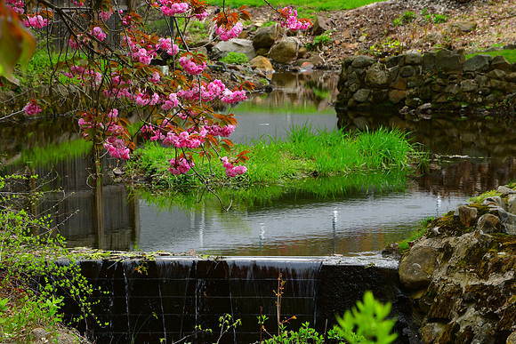 Spring Water