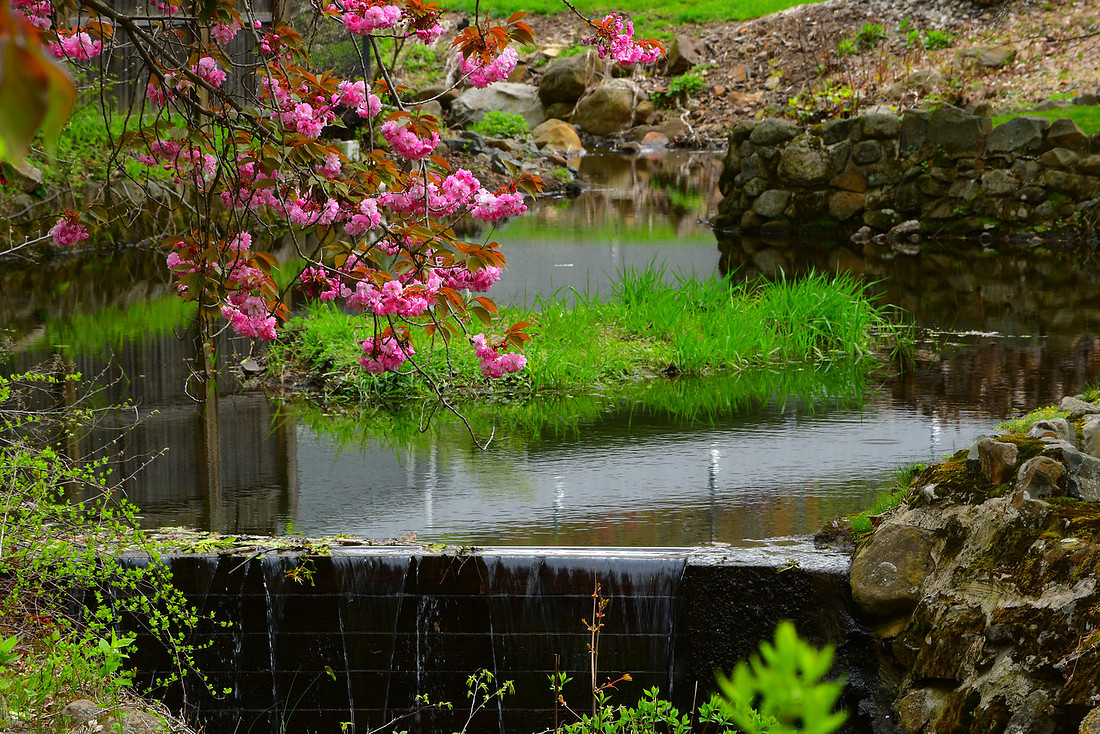 Spring Water