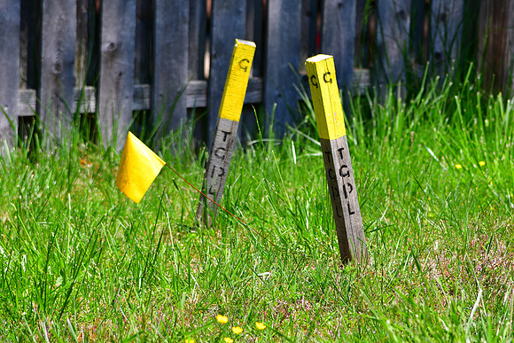 Two Pegs and a Flag