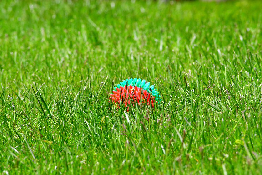 Lawn Urchin