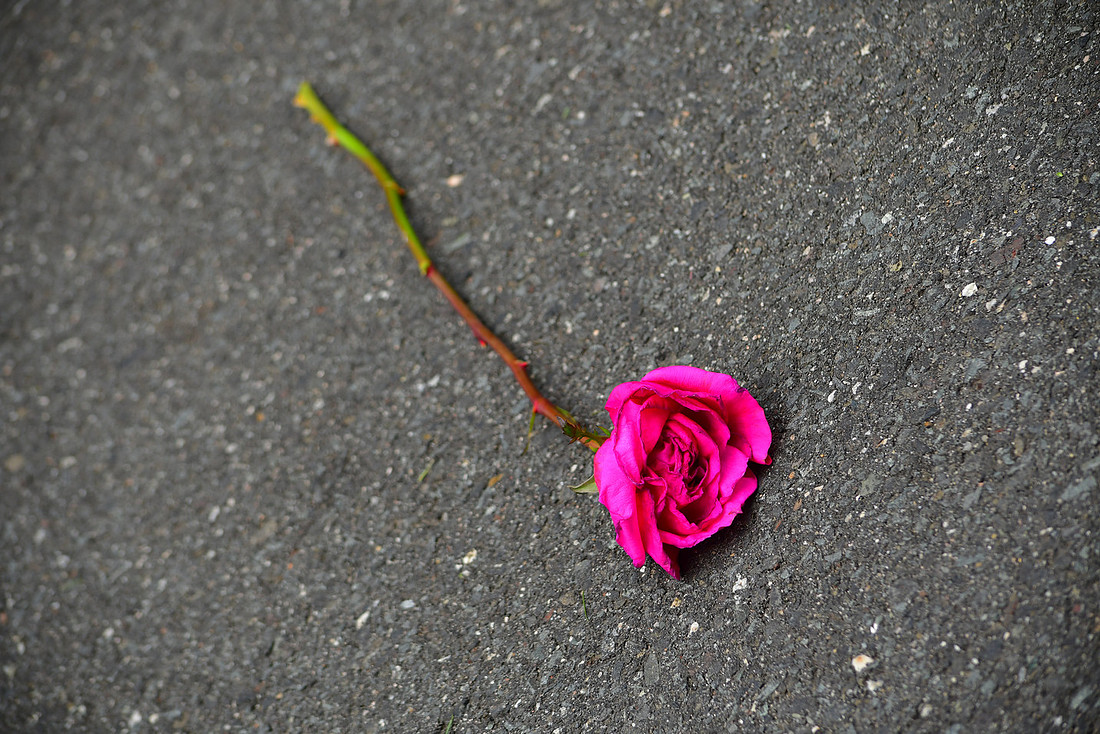 Old Rose