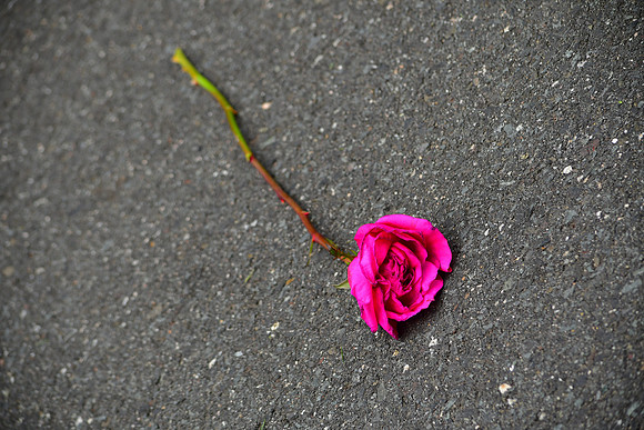 Old Rose