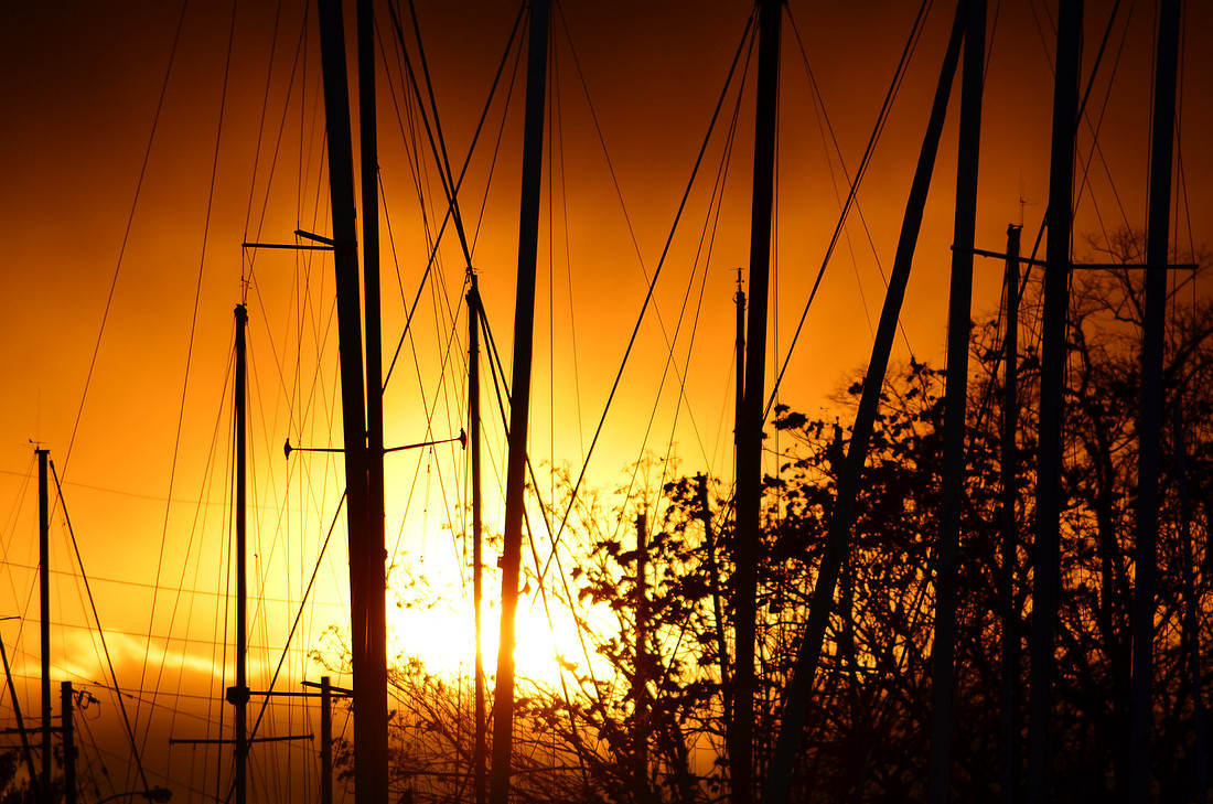 Sunset Masts