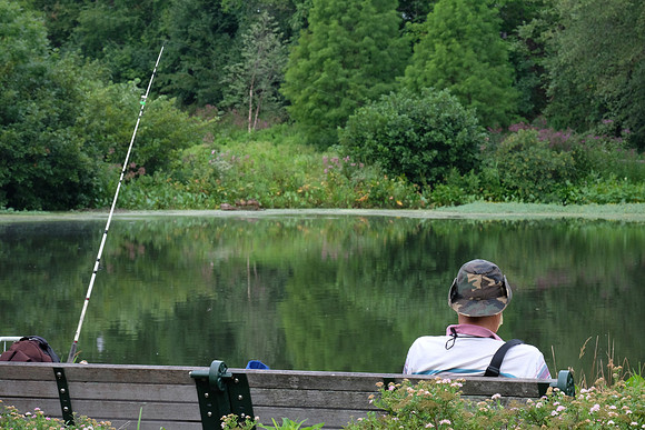 Park Bench Fishing