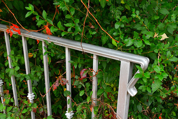 Silver Railing