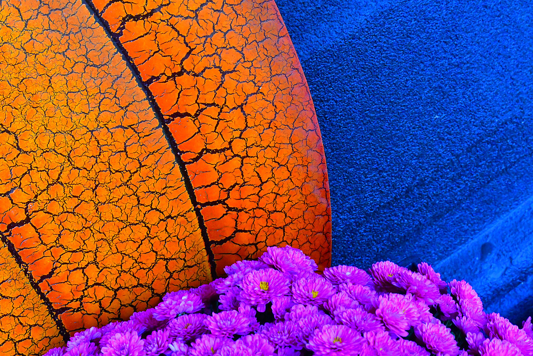 Fall Shapes