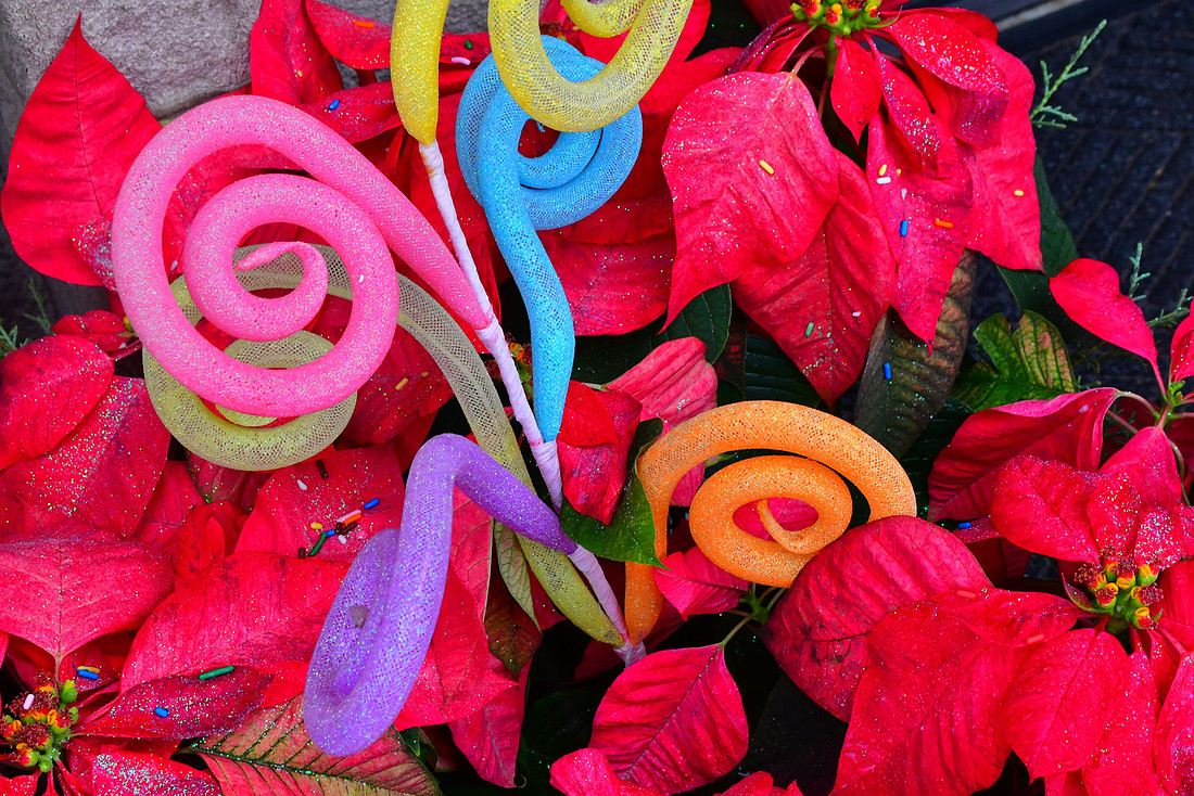 Christmas Curlicue