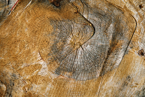 Stumped