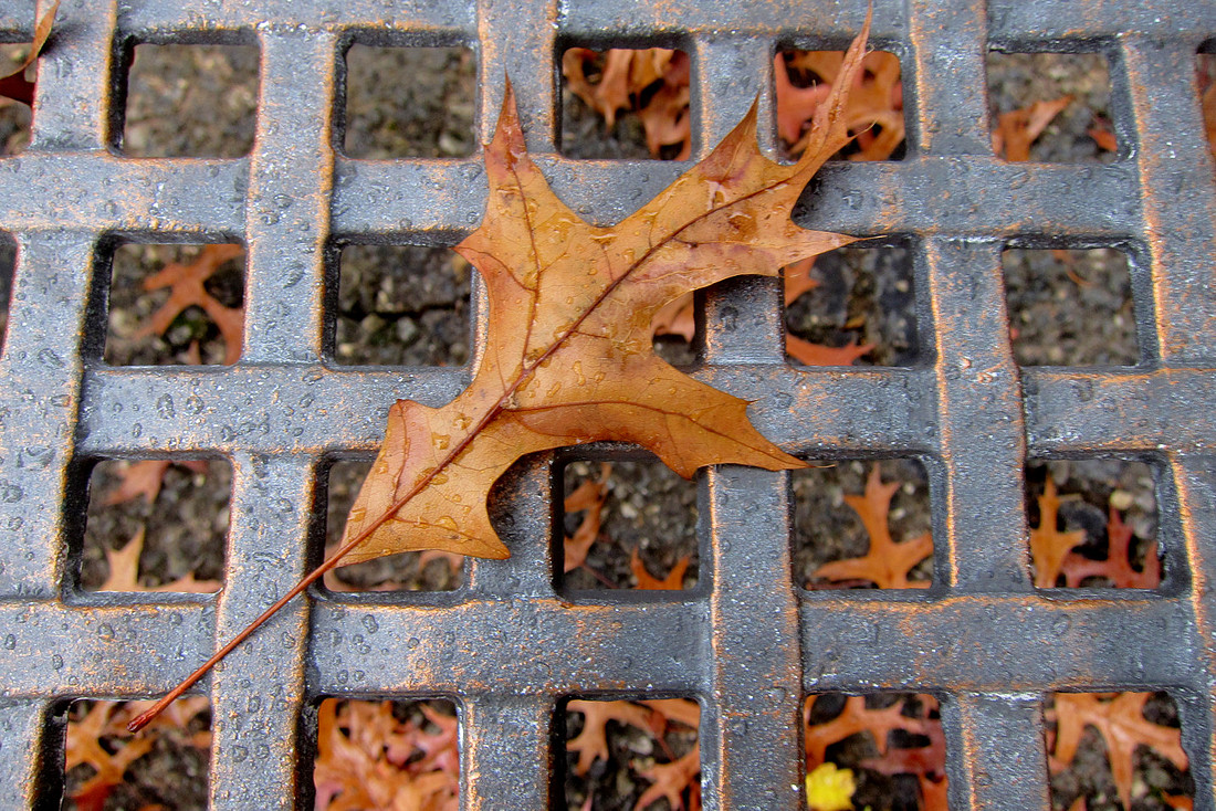 Fall Grid
