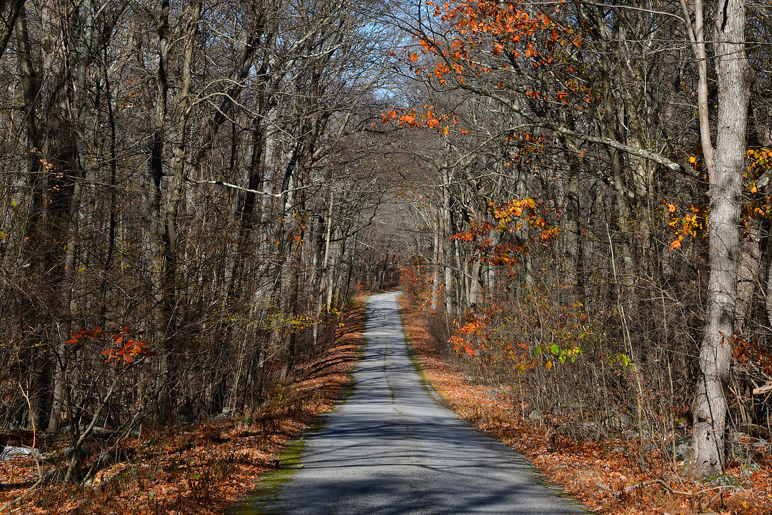 Sunrise Mountain Road