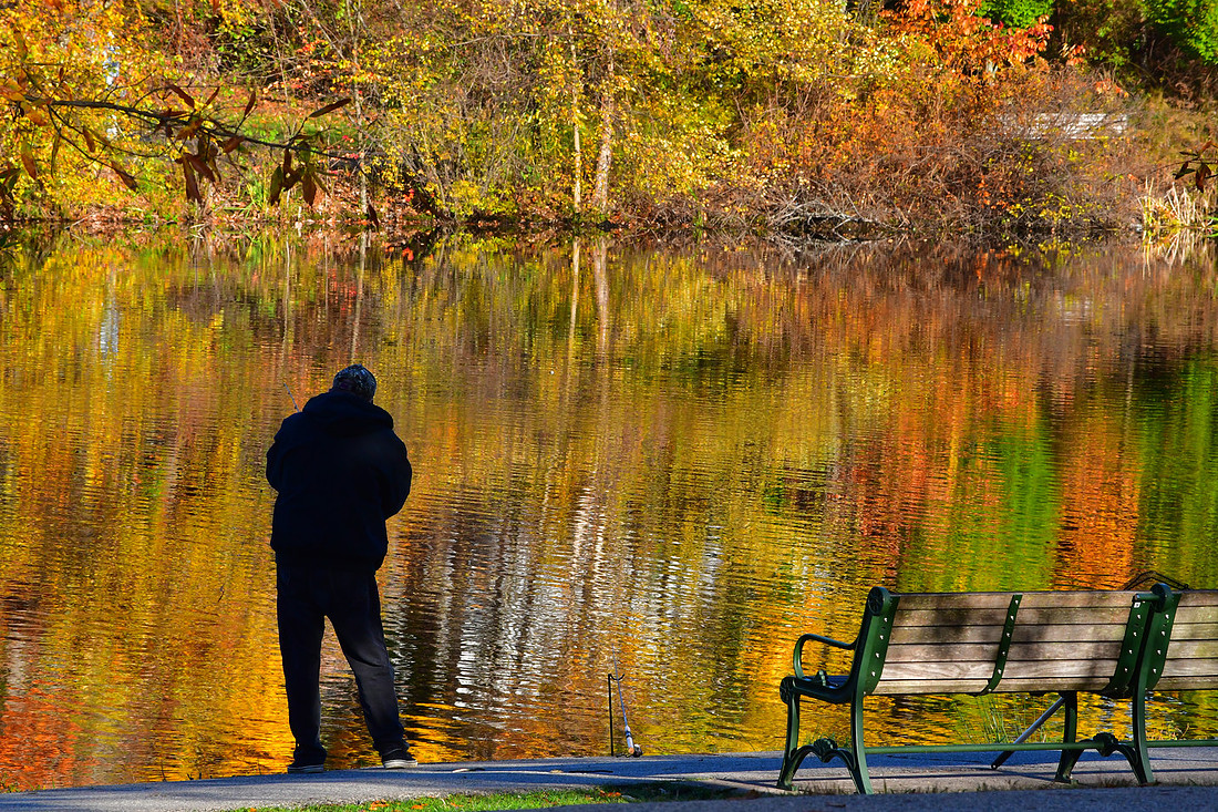 Color Fishing