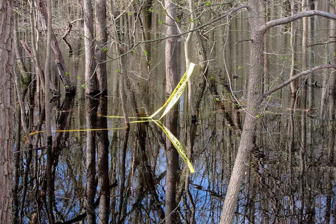 Yellow Tape