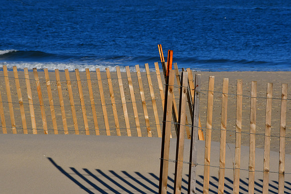 Crossed Fence