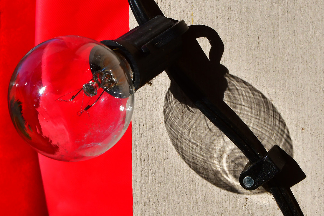 Bulb Shadow