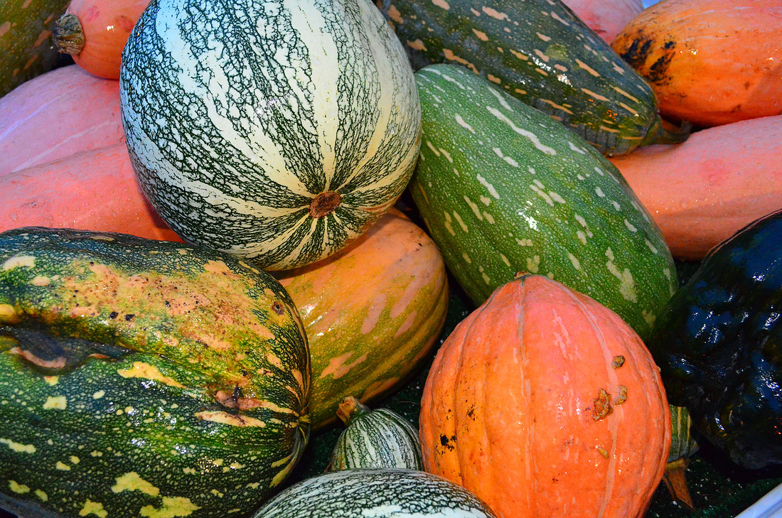 Squash