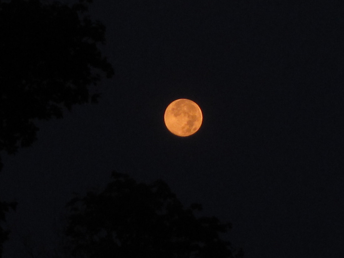 Full Moon