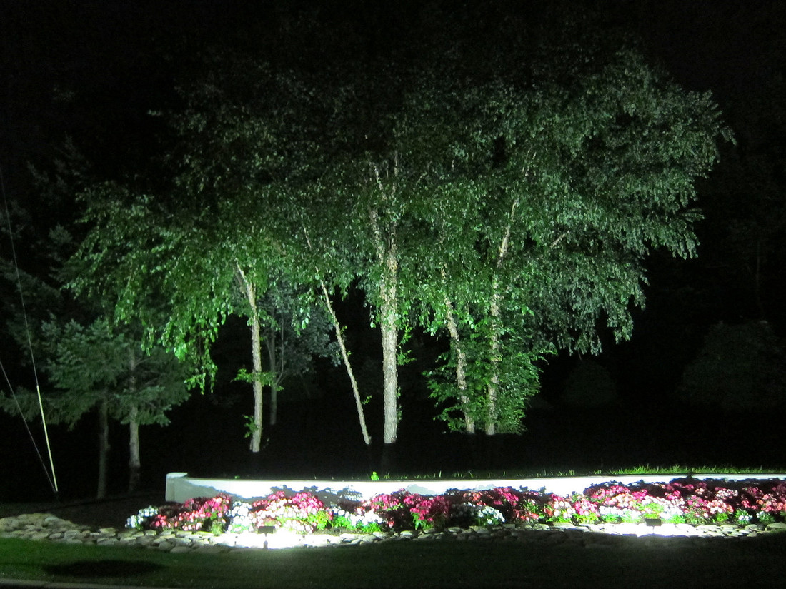 Trees