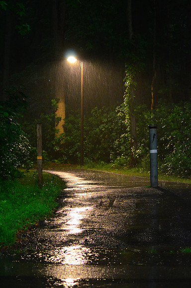 Path