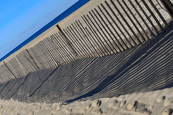 Zebra Fence
